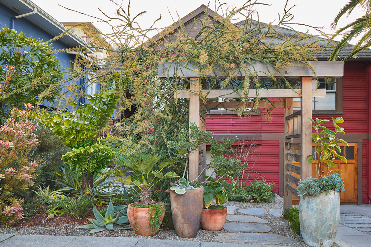 Oakland Artist Terri's Loewenthal's Glorious Oakland Garden